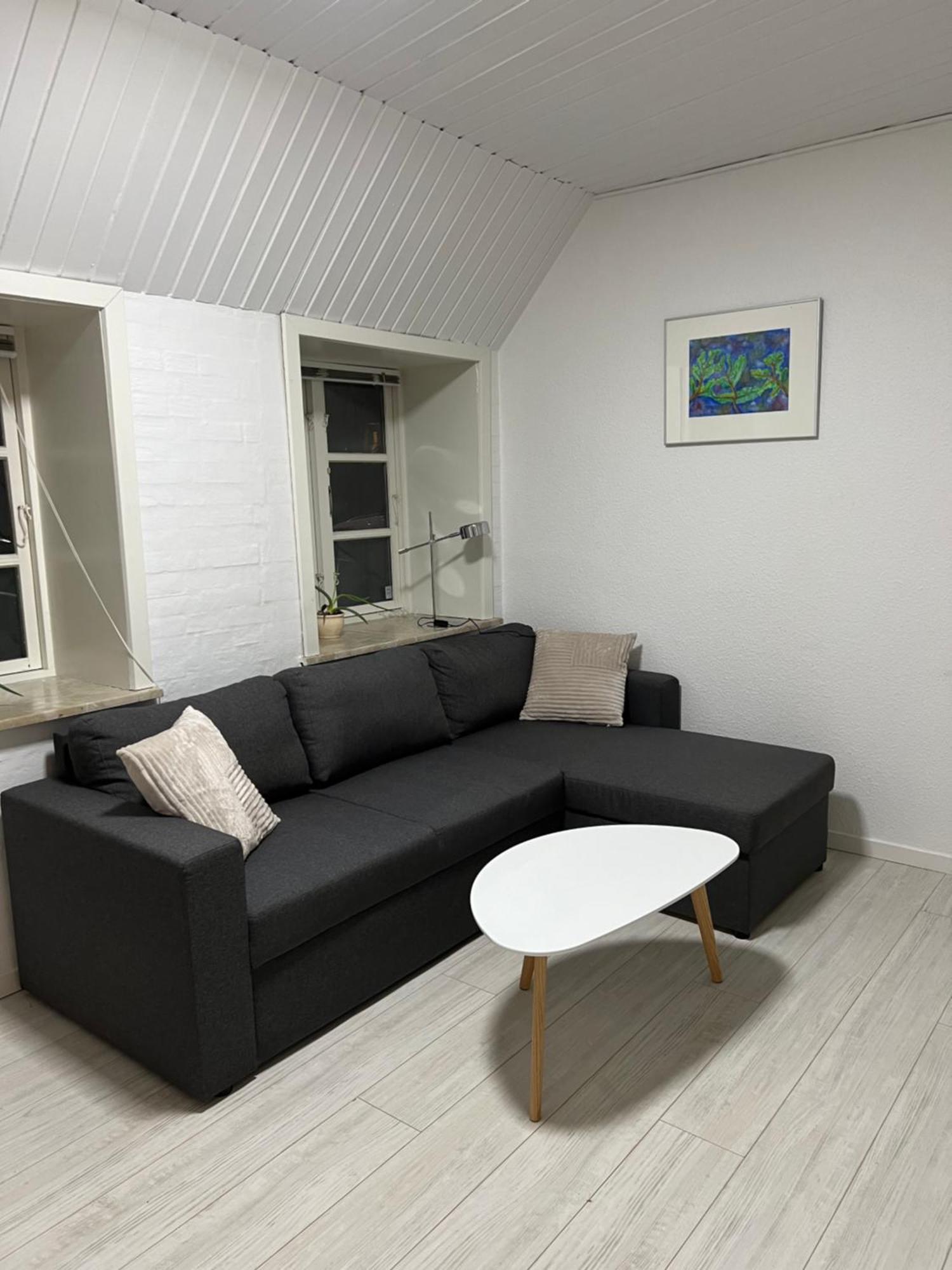 Apartment With Wifi, Close To City Center, Beach And Forrest Aabenraa Exteriör bild